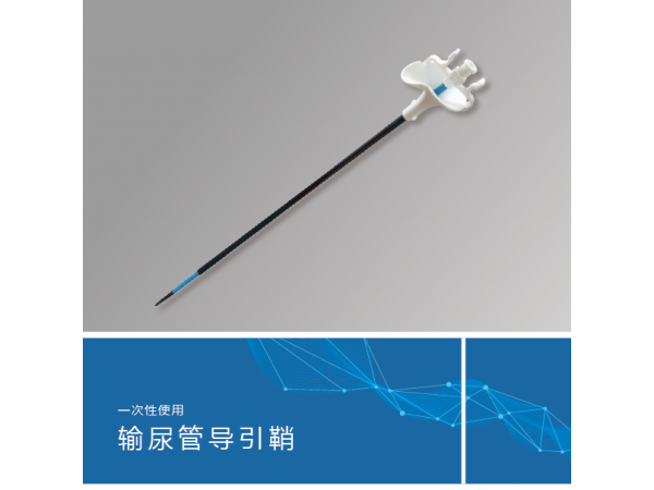 沃鴻一次性輸尿管導引鞘