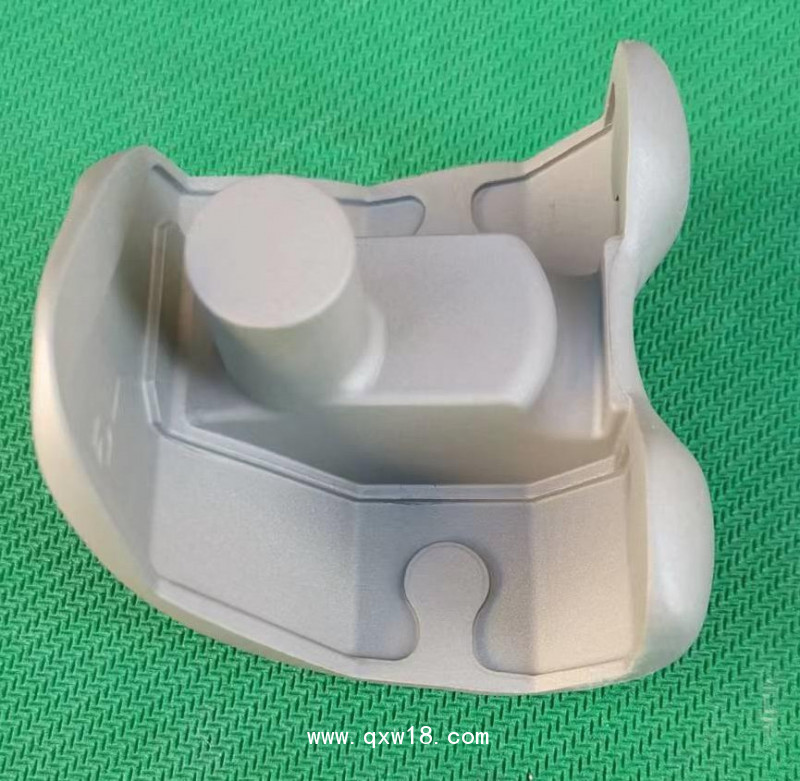 人工關(guān)節(jié)翻修髁鑄件