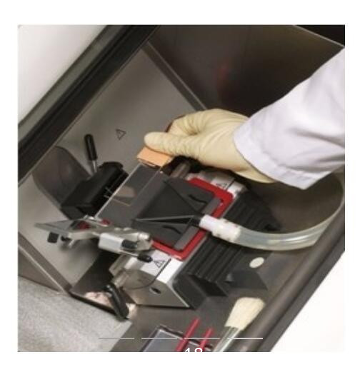 徠卡冷凍切片機 Leica CM1950