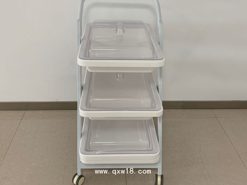 內鏡轉運車雙層三成小推車