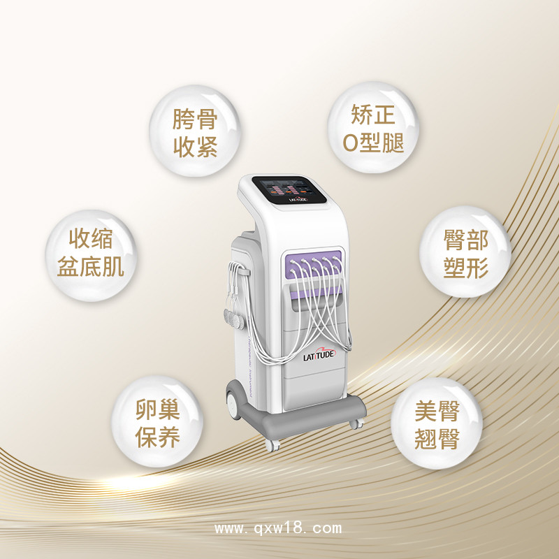 骨盆修復儀 骨盆護理儀 產(chǎn)后骨盆修復儀