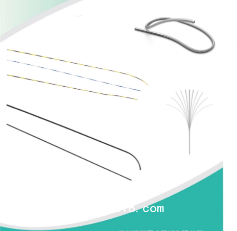 非血管腔斑馬導(dǎo)絲