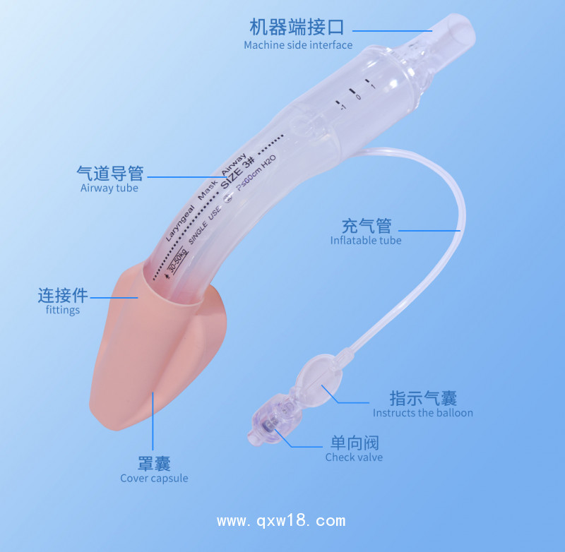 一次性使用醫(yī)用喉罩
