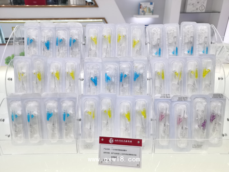 一次性使用靜脈留置針