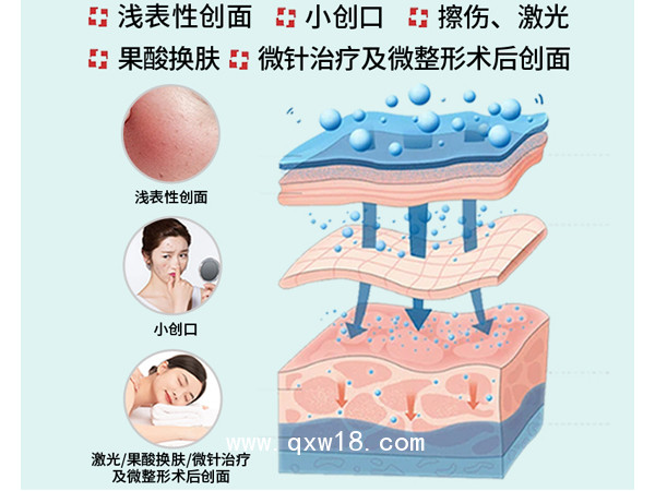 海藻糖醫(yī)用皮膚修護(hù)敷料(敷貼型)-OEM貼牌代工-批發(fā)代理