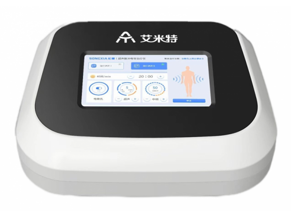 便攜式超聲脈沖電導治療儀LH-6000B