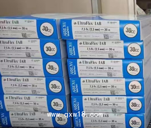 主動脈內(nèi)球囊反博導(dǎo)管及附件