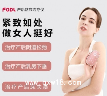 后康復(fù)治療儀R型