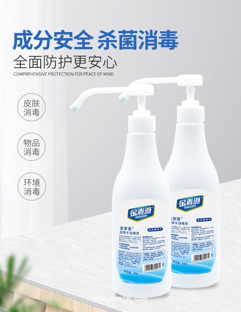 皮膚手消毒液 免洗手消毒液  醫(yī)用手消毒