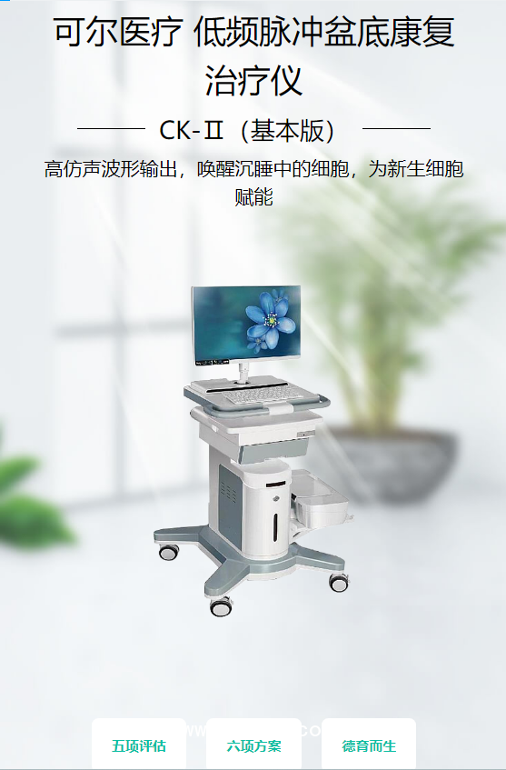 可爾醫(yī)療 低頻脈沖盆底康復治療儀 CK-Ⅱ（基本版）
