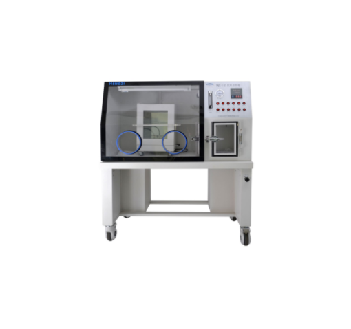 躍進(jìn) 厭氧培養(yǎng)箱 YQX-I