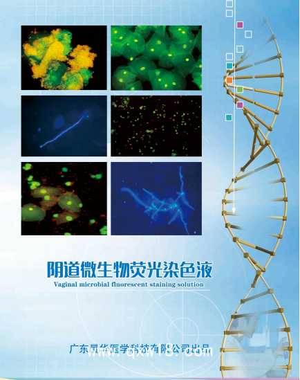 婦科陰道分泌物免疫熒光顯色試劑
