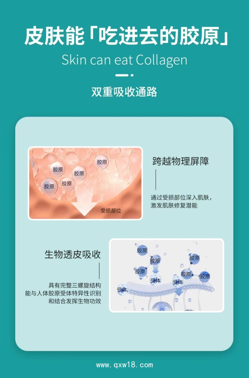 膠原貼敷料（）—三類文號(hào)—廠家直銷 可貼牌代加工