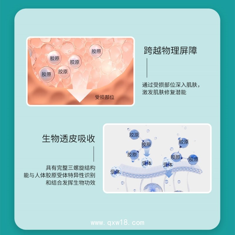 膠原貼敷料OEM代加工廠家/三類械字號支持來圖來樣定制