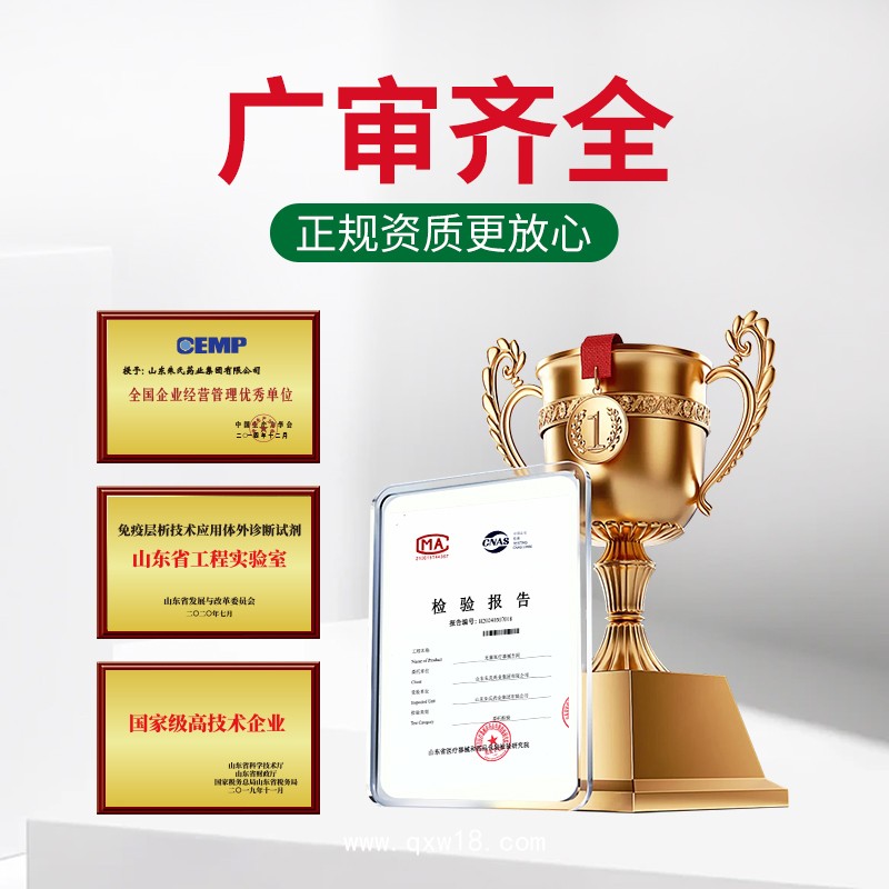 乳腺貼貼牌代加工乳房保健貼定制保健貼異形膏藥貼源頭廠家