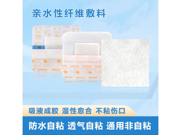 傷口促愈合敷料
