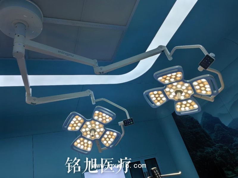 醫(yī)療工廠手術(shù)燈LED無影燈醫(yī)院雙臂手術(shù)燈移動檢查燈