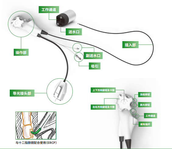 一次性使用電子膽道鏡
