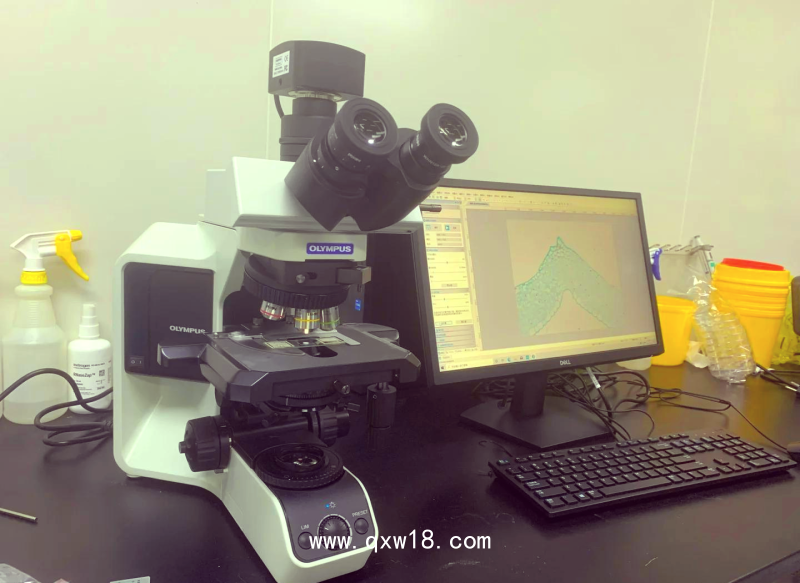 奧林巴斯BX53顯微鏡實(shí)驗(yàn)得力助手