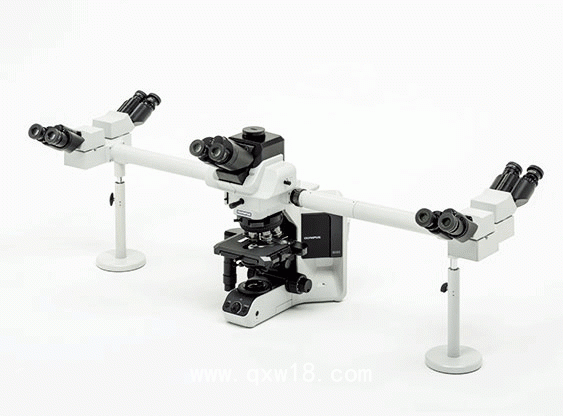 奧林巴斯BX53FL熒光生物顯微鏡