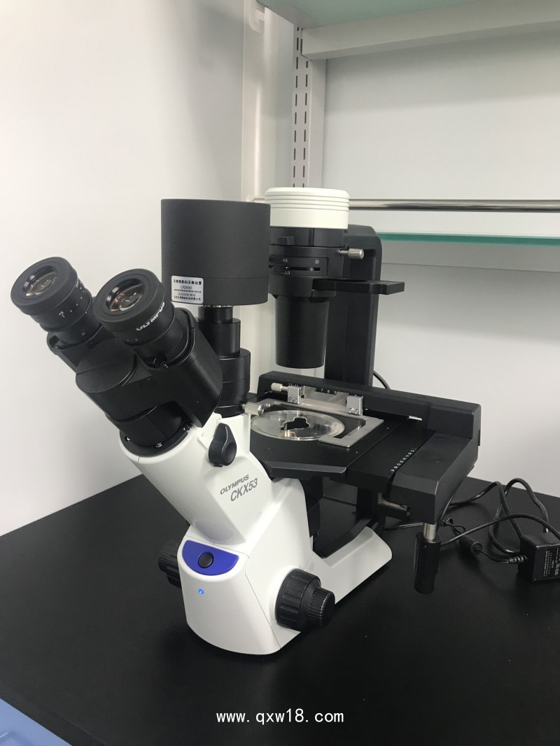 奧林巴斯CKX53倒置顯微鏡