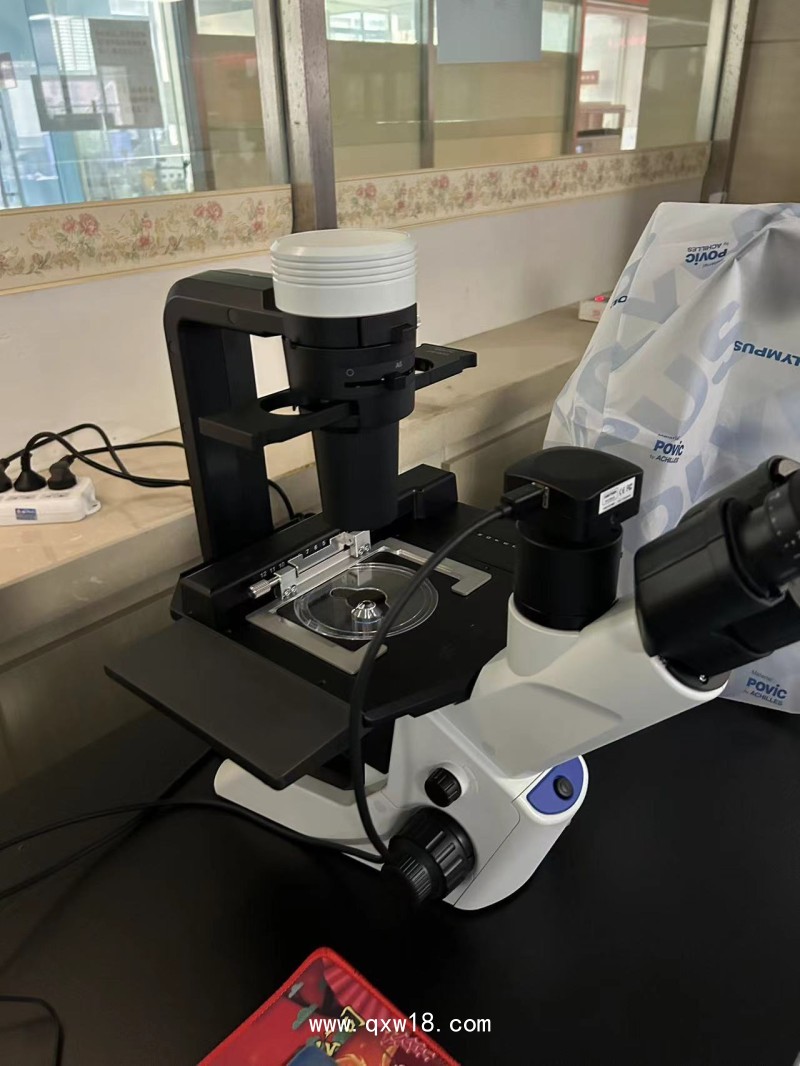奧林巴斯CKX53倒置顯微鏡