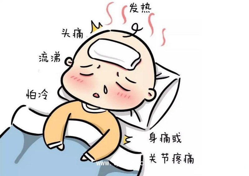 感冒穴位壓力刺激貼