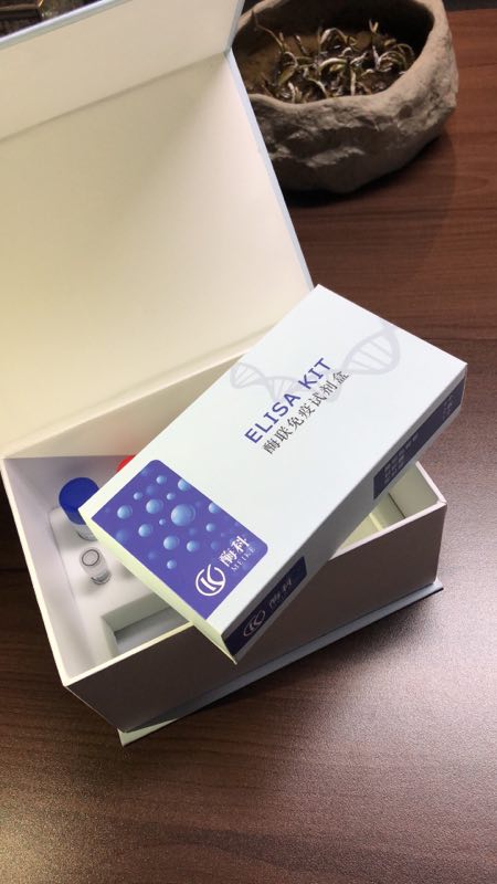 1560223814611193.jpg 酶科主圖4.jpg