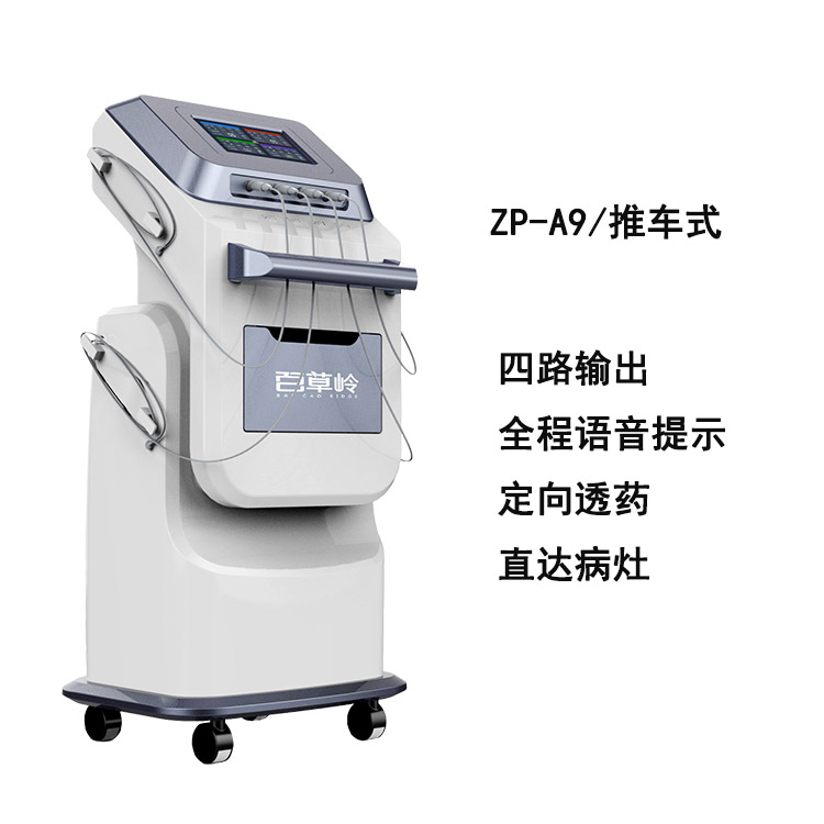 中藥離子導(dǎo)入治療儀-廠家