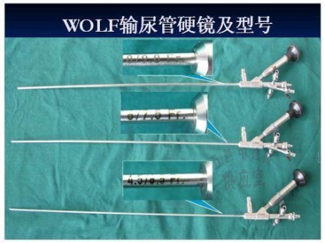 1595907526667941.jpg 狼牌輸尿管鏡.jpg