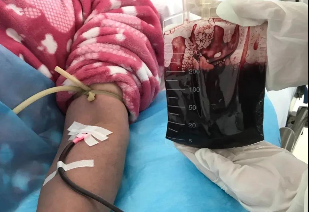 1615601727456006.jpg 微信圖片_20210313094818.jpg