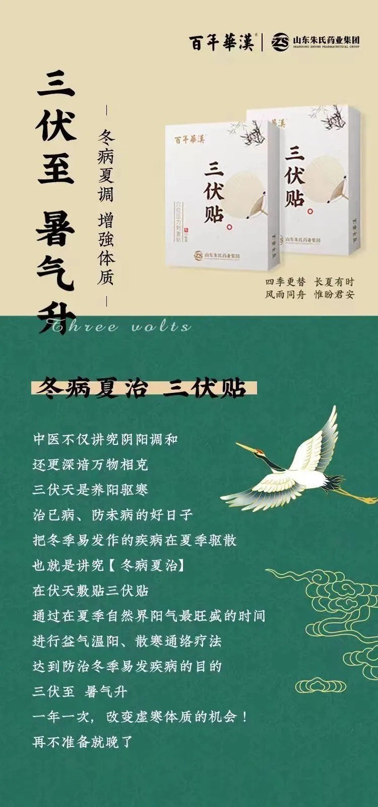 1713163269117146.jpg 2.webp.jpg