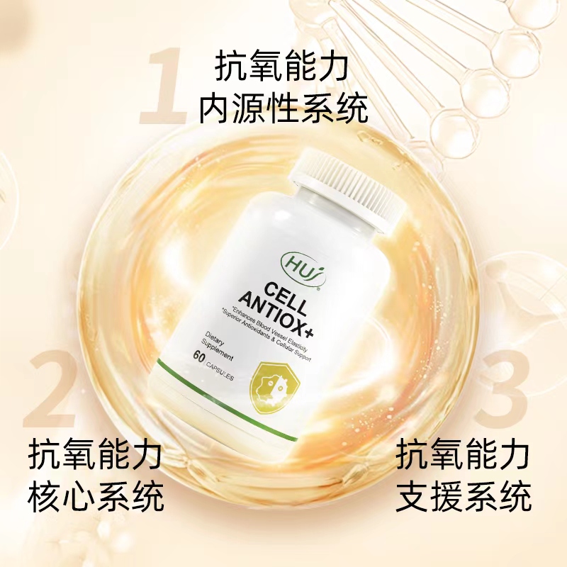 824ef8eff3690b9a48feaad144e46c8