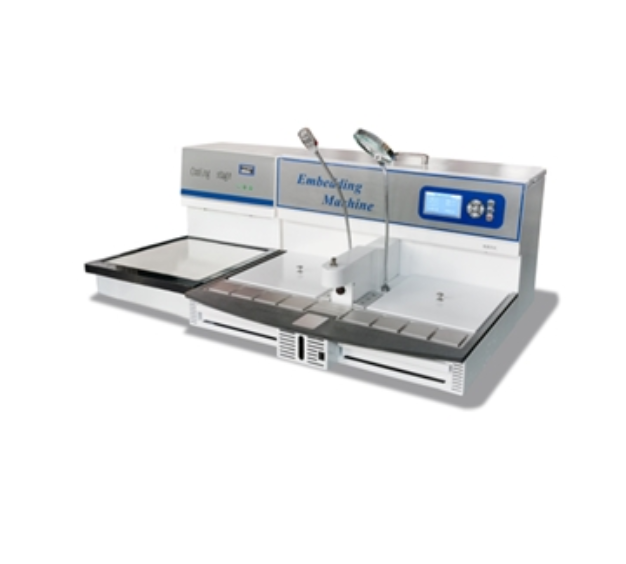 1722568841666125.png 1.png